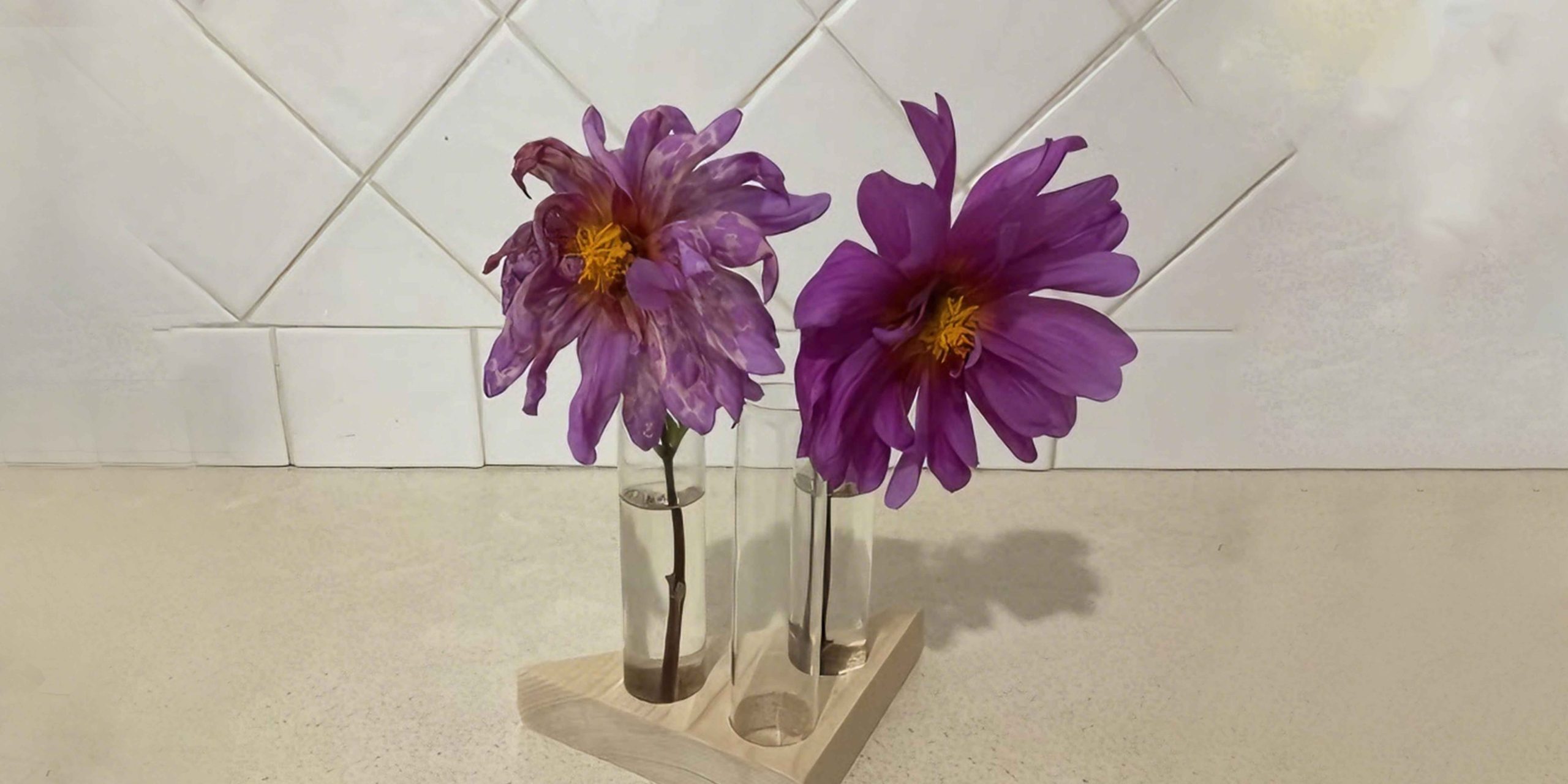 scalar water flower experiment